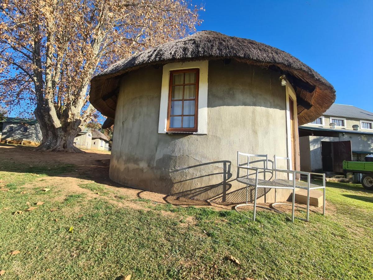 Tower Of Pizza Bed & Breakfast Ethels Drive Екстериор снимка